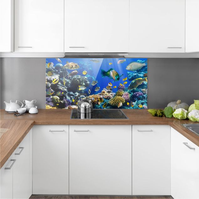 Wanddeko Küche Underwater Reef
