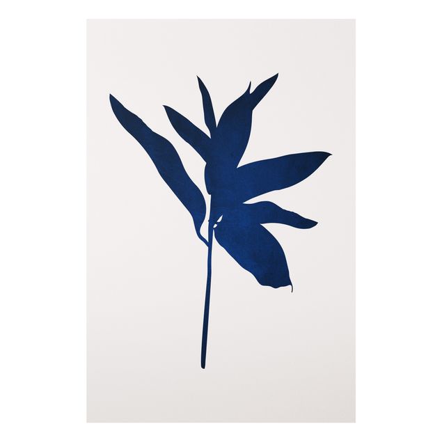 Wandbilder Fische Grafische Pflanzenwelt - Blau