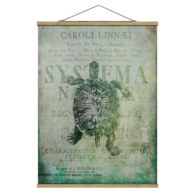Wanddeko Esszimmer Vintage Collage - Antike Schildkröte
