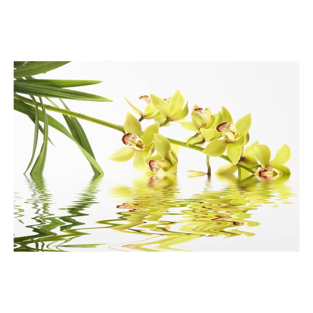 Deko Orchidee Elegant Orchid Waters