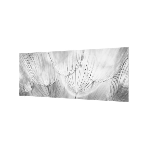 Wanddeko schwarz-weiß Pusteblumen Makroaufnahme in schwarz weiß
