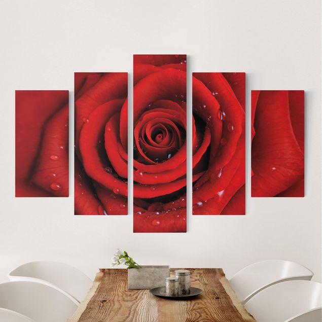 Leinwandbild 5-teilig - Rote Rose mit Wassertropfen