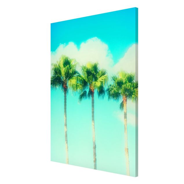 Wanddeko Büro Palmen vor Himmel Blau