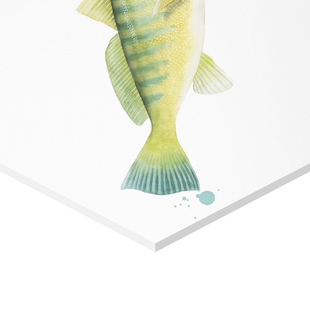 Wanddeko weiß Farbfang - Fische Set I