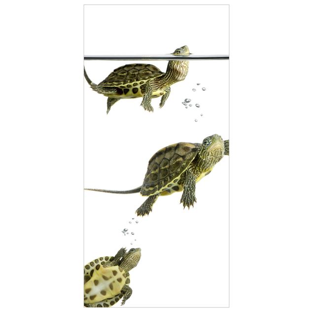 Wanddeko Esszimmer Schildkröten Trio