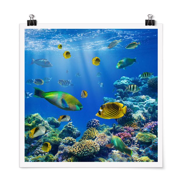 Wandbilder Fische Underwater Lights
