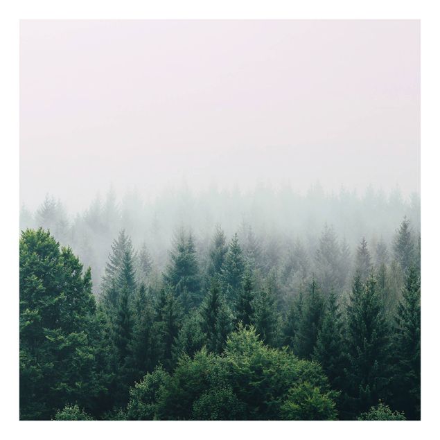 Wohndeko Fotografie Wald im Nebel Dämmerung