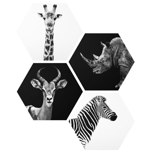 Wandbilder Giraffen Safari Quartett