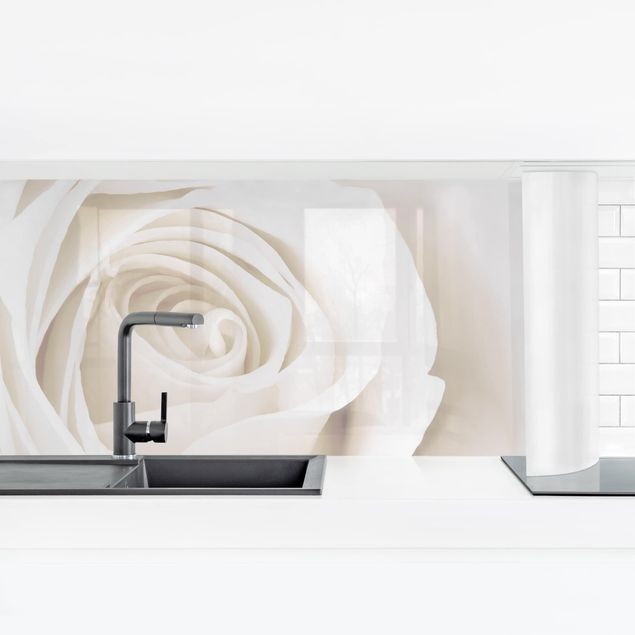 Küchenrückwand Folie Blumen Pretty White Rose