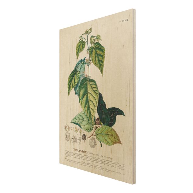 Wanddeko Esszimmer Vintage Botanik Illustration Kakao