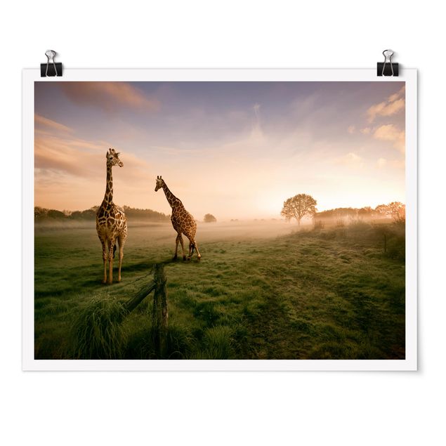 Wandbilder Giraffen Surreal Giraffes