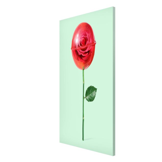 Wanddeko Flur Rose mit Lollipop