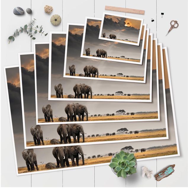 Wanddeko Treppenhaus Elefanten der Savanne