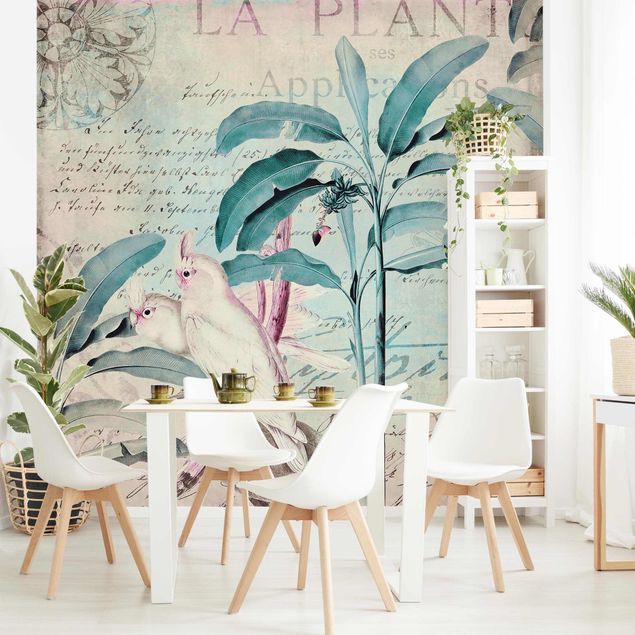 Wanddeko Wohnzimmer Colonial Style Collage - Kakadus und Palmen