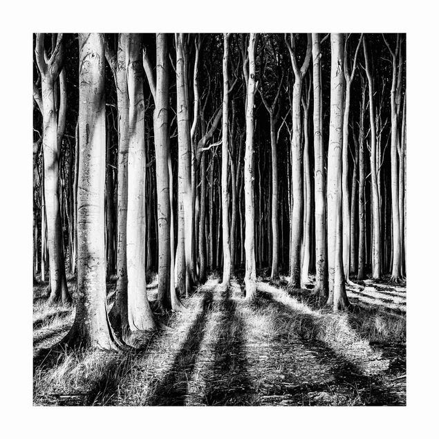 Wanddeko schwarz-weiß Geisterwald