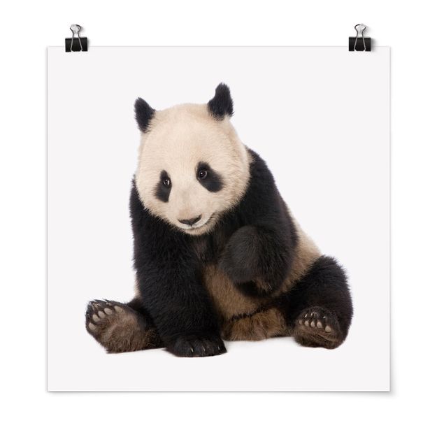 Wanddeko Babyzimmer Panda Tatzen