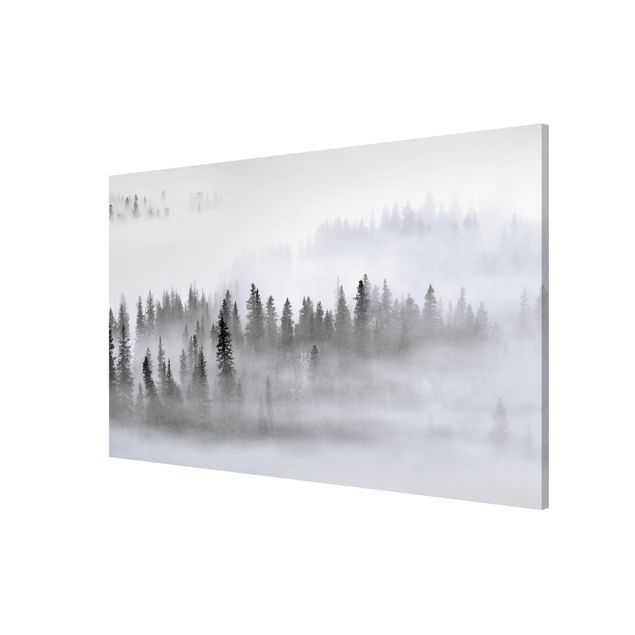 Wanddeko Büro Nebel im Tannenwald Schwarz-Weiß