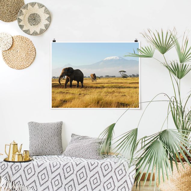 Wandbilder Elefanten Elefanten vor dem Kilimanjaro in Kenia