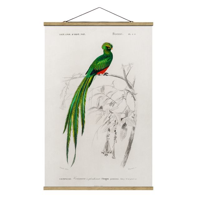Wanddeko Esszimmer Vintage Lehrtafel Tropischer Vogel I