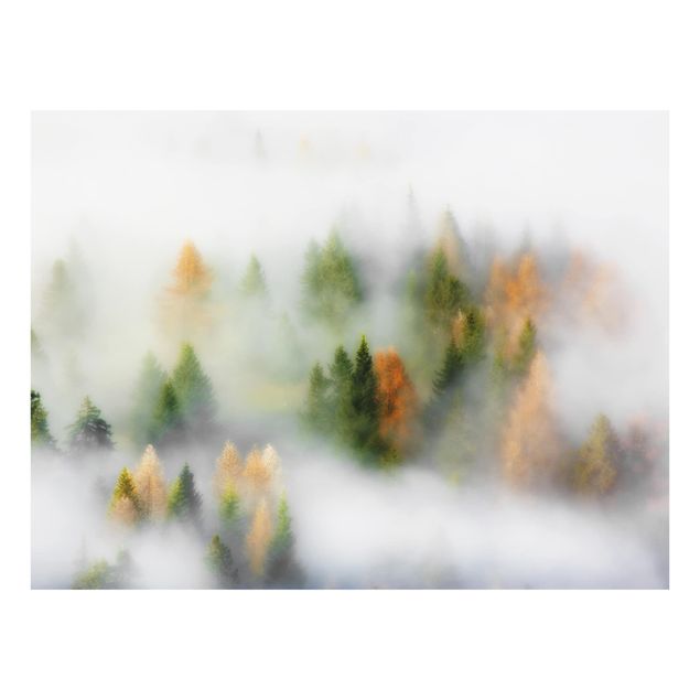 Wohndeko Wald Nebelwald im Herbst