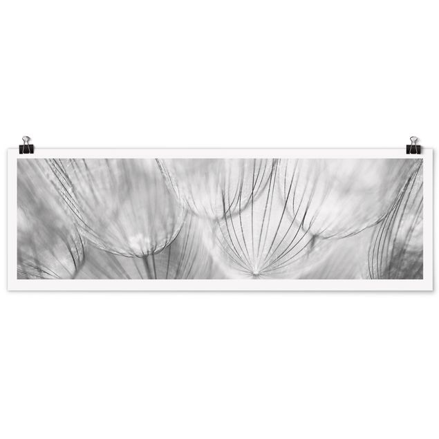Wanddeko Esszimmer Pusteblumen Makroaufnahme in schwarz weiß