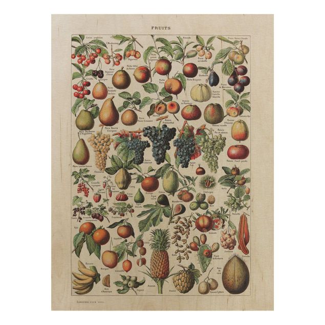 Wanddeko bunt Vintage Lehrtafel Früchte