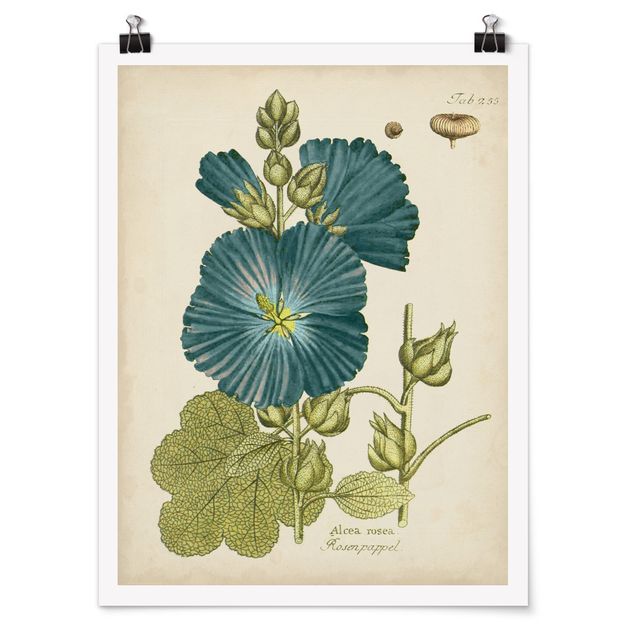 Wanddeko Flur Vintage Botanik in Blau Rosenpappel