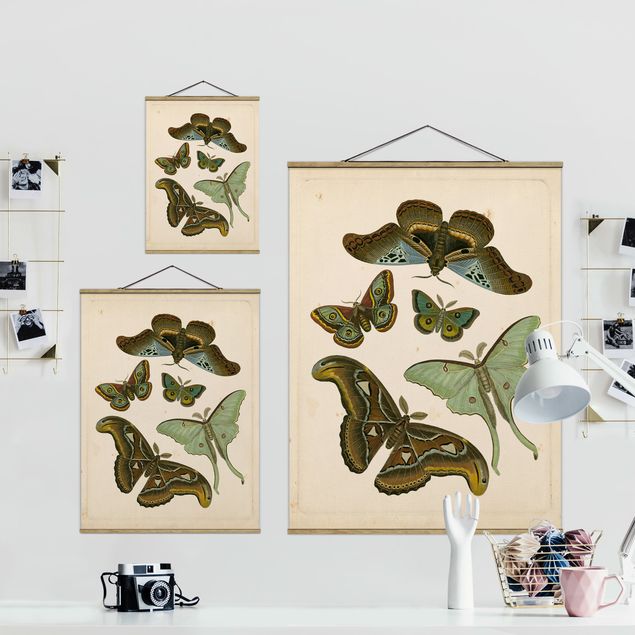 Wanddeko Büro Vintage Illustration Exotische Schmetterlinge II