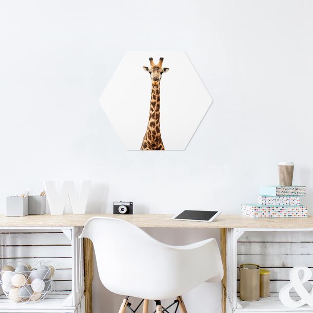 Wanddeko Büro Giraffenkopf