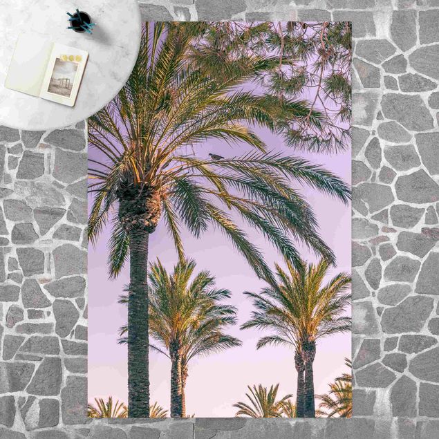 Wanddeko Esszimmer Palmen im Sonnenuntergang