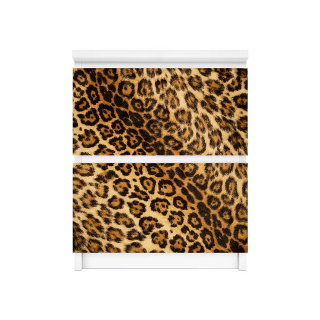 Wanddeko Flur Jaguar Skin
