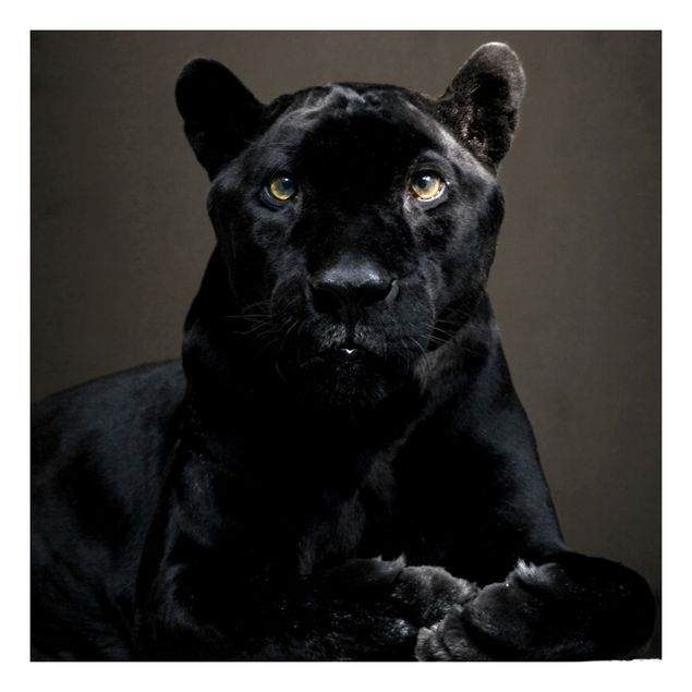 Wanddeko Praxis Black Puma