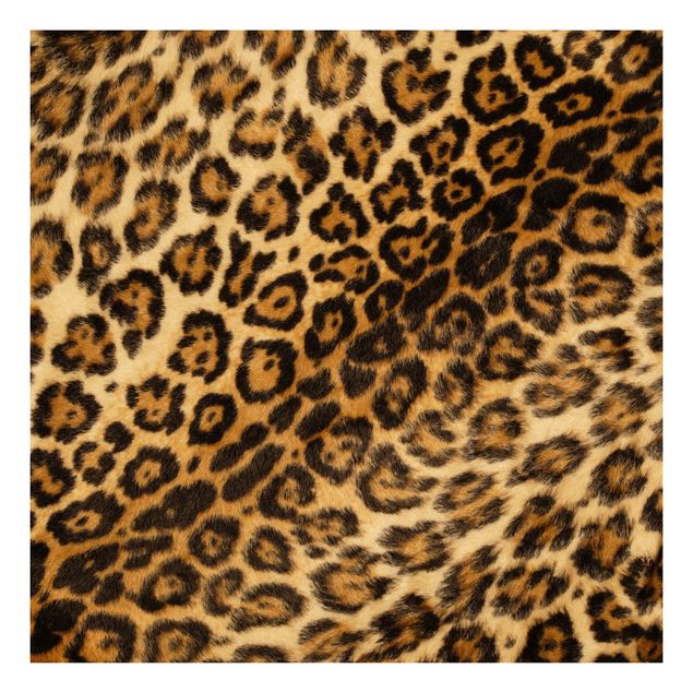 Wanddeko Praxis Jaguar Skin