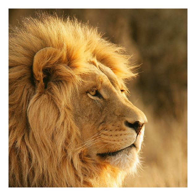 Wanddeko Praxis Löwenkönig