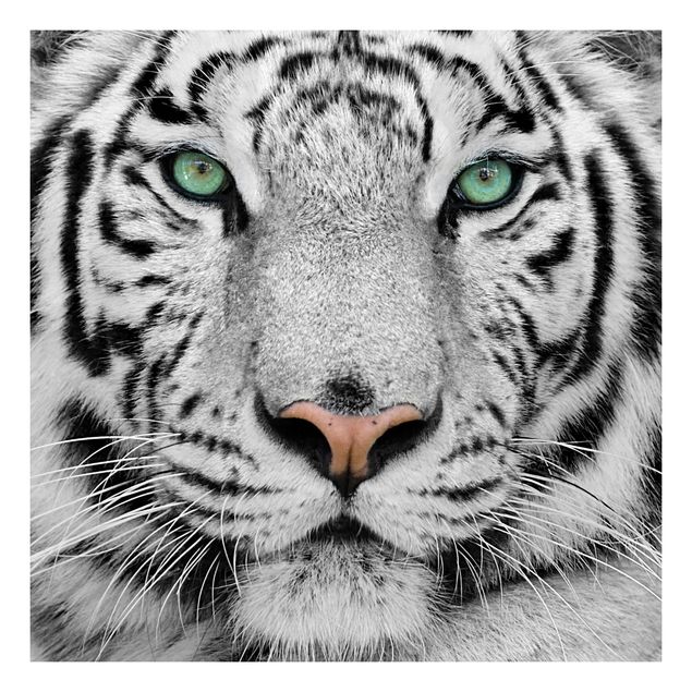 Wanddeko Praxis Weißer Tiger