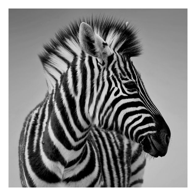 Wanddeko Schwarz & Weiß Zebra Baby Portrait II