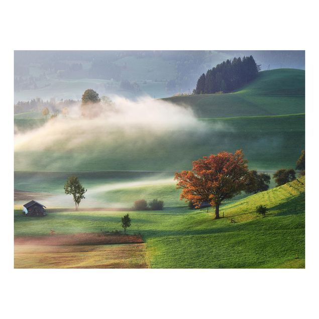Wanddeko Flur Nebliger Herbsttag Schweiz
