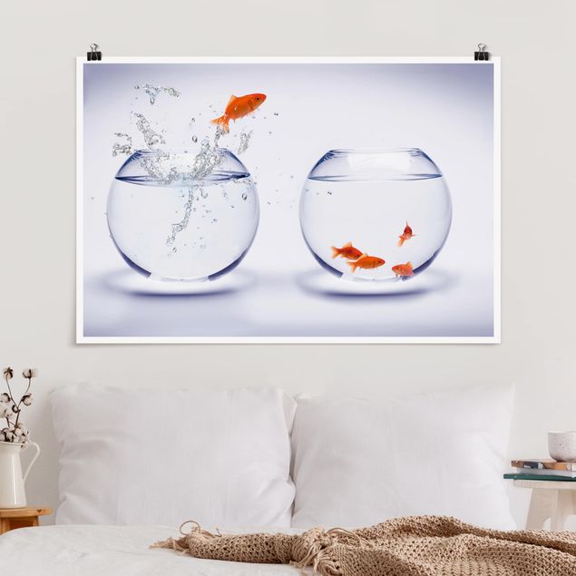 Wandbilder Fische Flying Goldfish