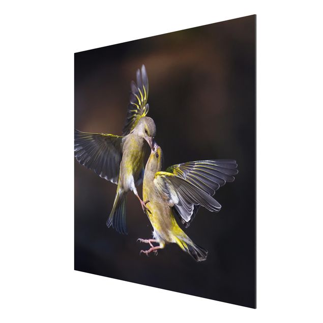 Wanddeko Flur Küssende Kolibris