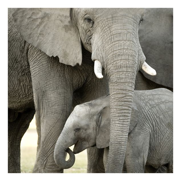 Deko Elefant Elefantenliebe
