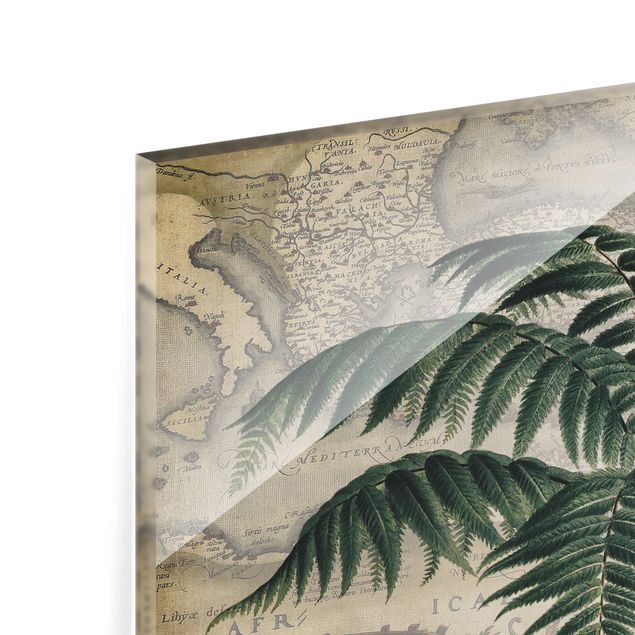Glasrückwand Küche Blumen Vintage Collage - Palme und Weltkarte