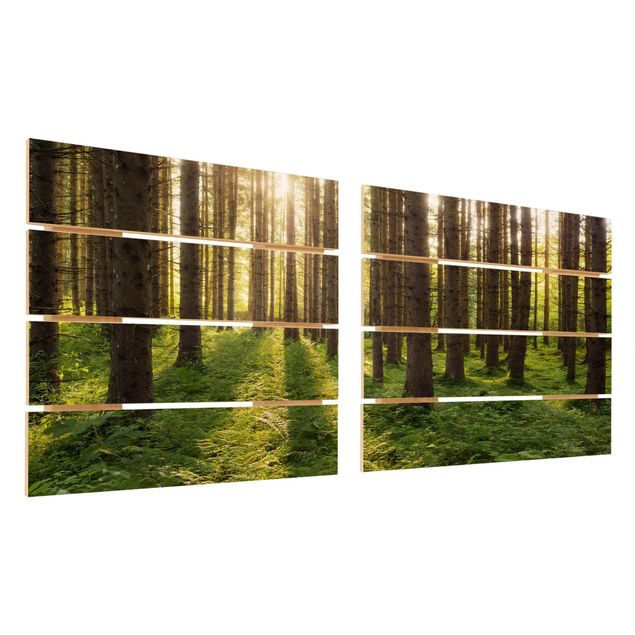 Wanddeko Büro Sonnenstrahlen in grünem Wald