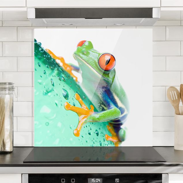 Wanddeko Küche Frog