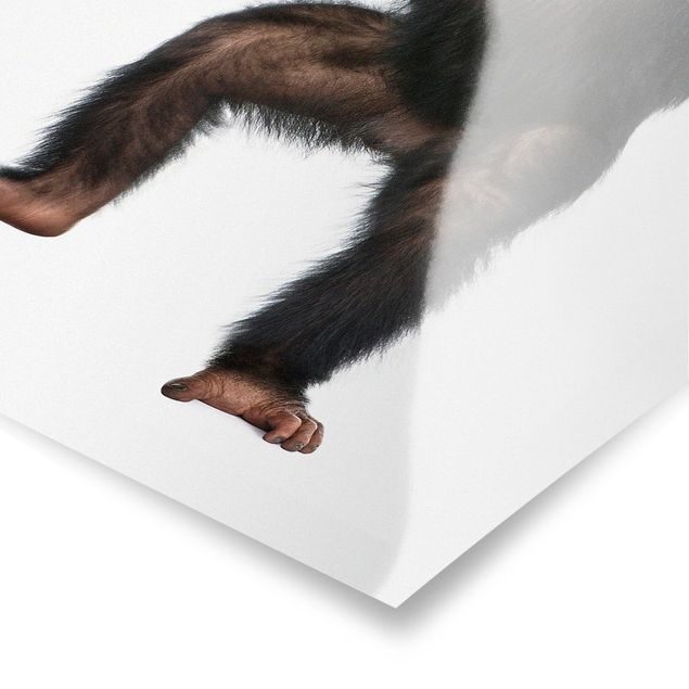 Wanddeko Treppenhaus Vergnügter Affe