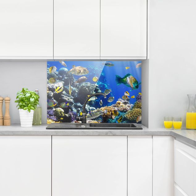 Küche Dekoration Underwater Reef