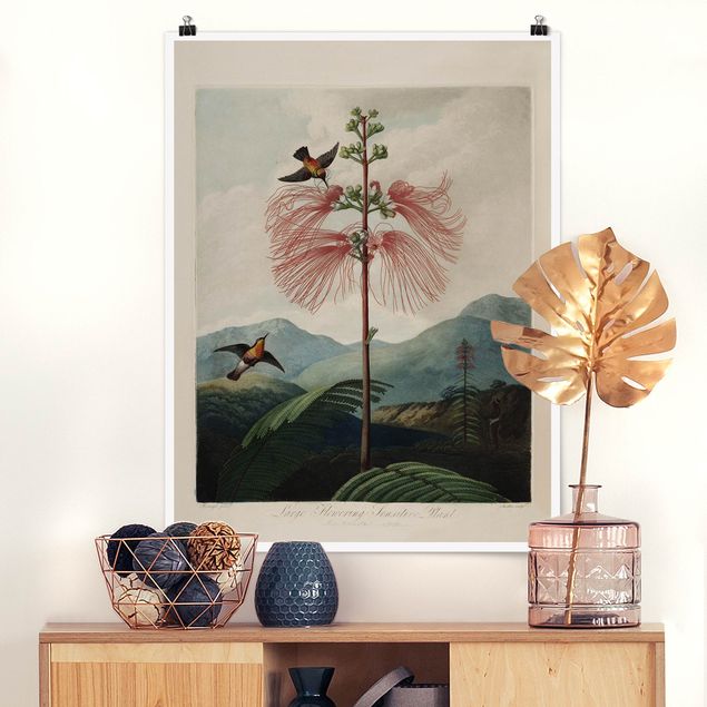 Wanddeko Schlafzimmer Botanik Vintage Illustration Blüte und Kolibri