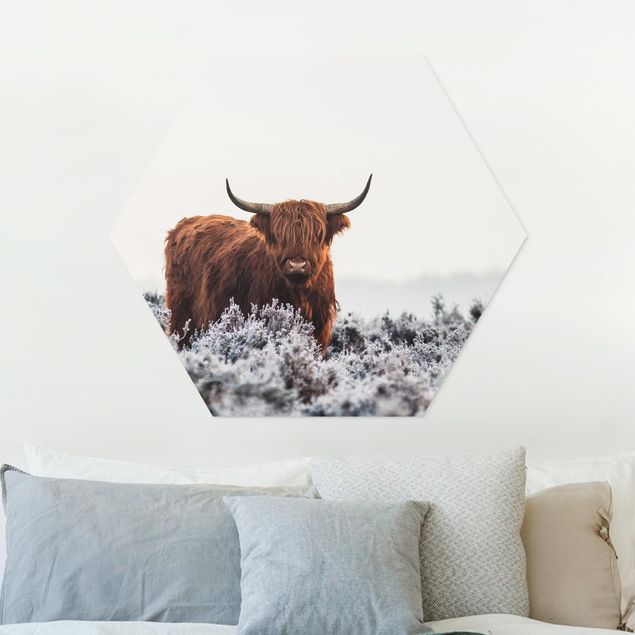 Wanddeko Schlafzimmer Bison in den Highlands