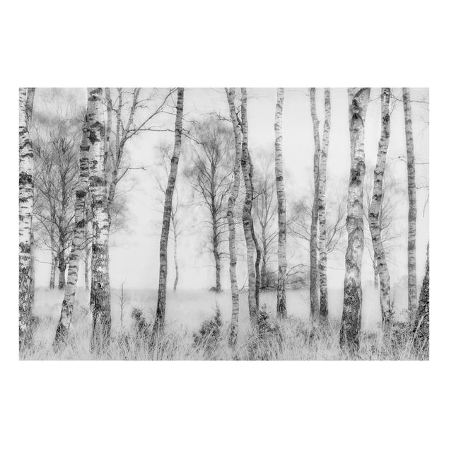 Wanddeko Esszimmer Mystischer Birkenwald Schwarz-Weiß