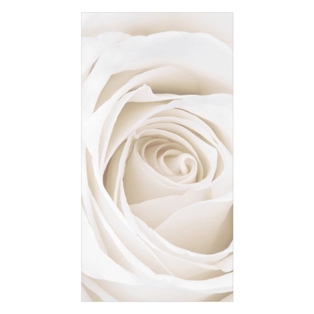 Wanddeko Gäste WC Pretty White Rose