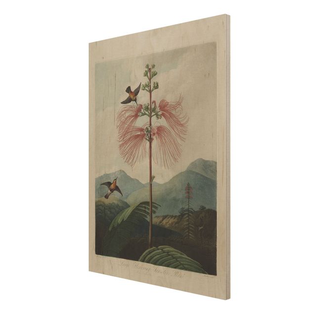 Wanddeko Esszimmer Botanik Vintage Illustration Blüte und Kolibri
